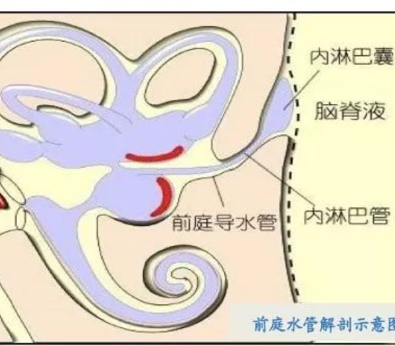 微信图片_20220820132520 微信图片_20220820132520